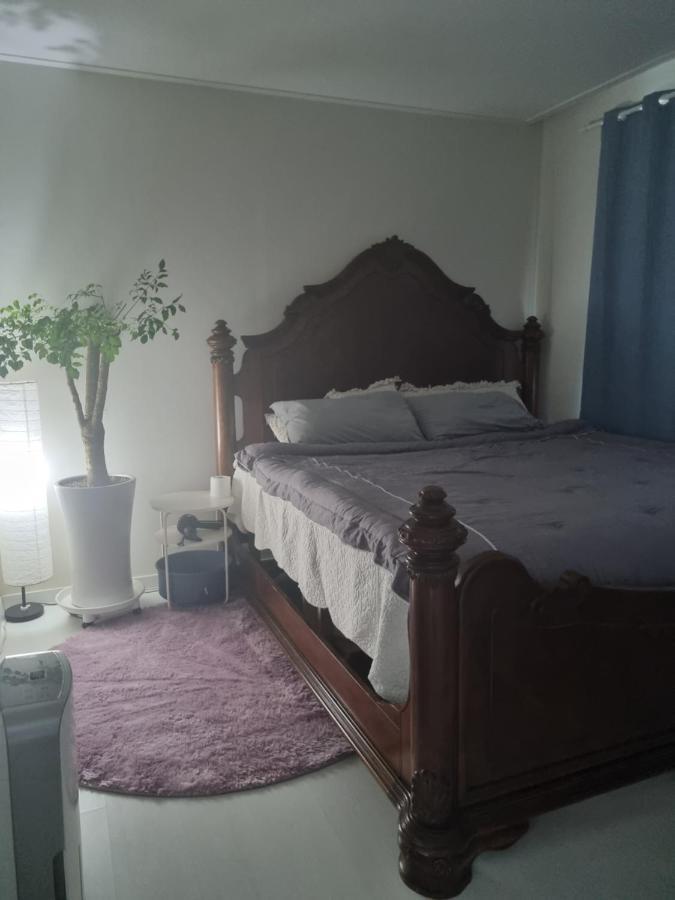 Gashi Sarang Bed & Breakfast Seogwipo Dış mekan fotoğraf